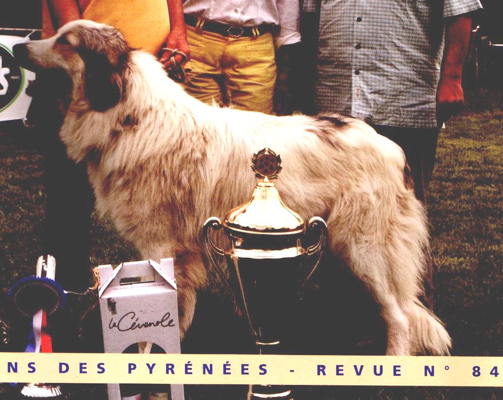 Biesca couv revue RACP 08.JPG (133549 octets)