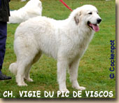 Vigie-Pic-Viscos.jpg (10304 octets)
