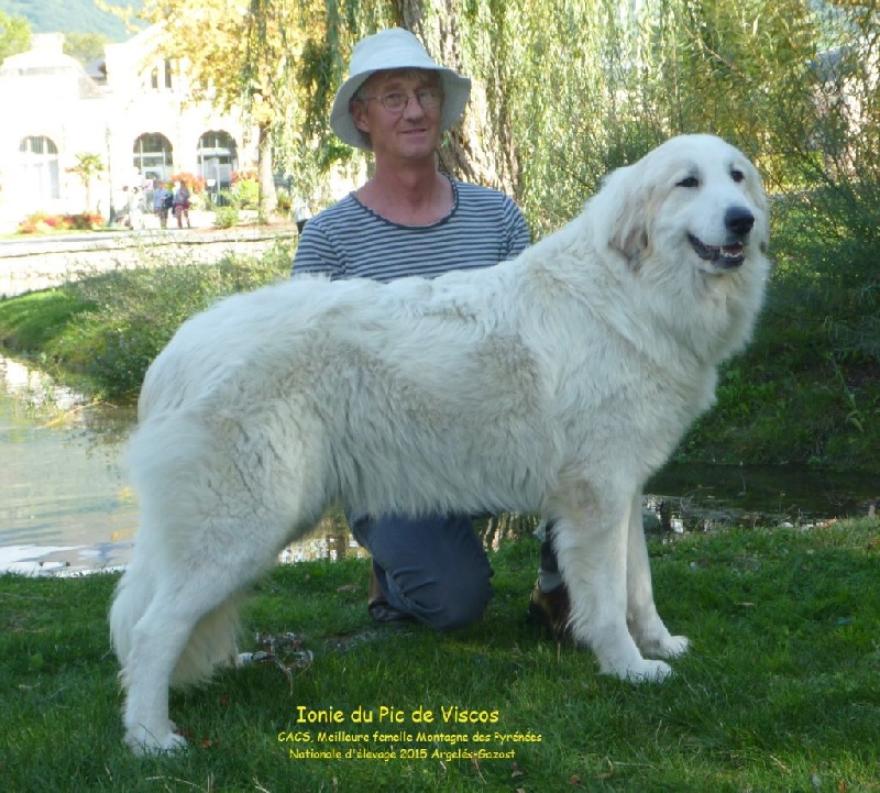 Ionie NE 15.jpg (259801 octets)